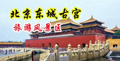 快插我bb好爽舔我视频中国北京-东城古宫旅游风景区